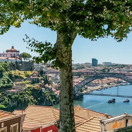Guest house Orange Tree House Porto